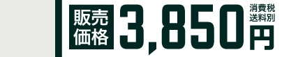 �̔����i 3,850�~