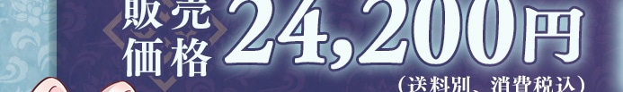 �̔����i 24,200�~�i�����ʁA����ō��j