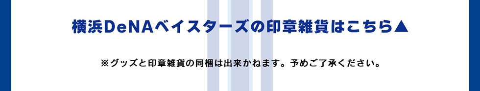 lDeNAxCX^[Ÿ͎G݂͂灣