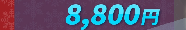 �̔����i�i�����ʁA����ō��j 8,800�~
