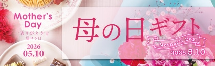 �Q�O�Q�U�N�@��̓�