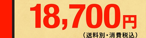 ̔i 18,700~(ʁEō)