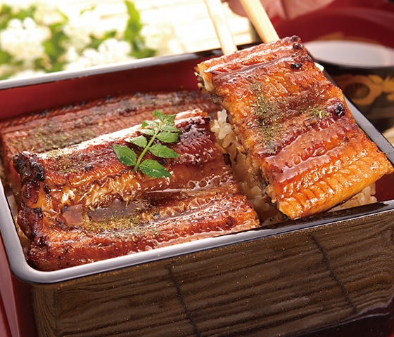 「浜名湖マルマ ®」国産うなぎ長蒲焼2本