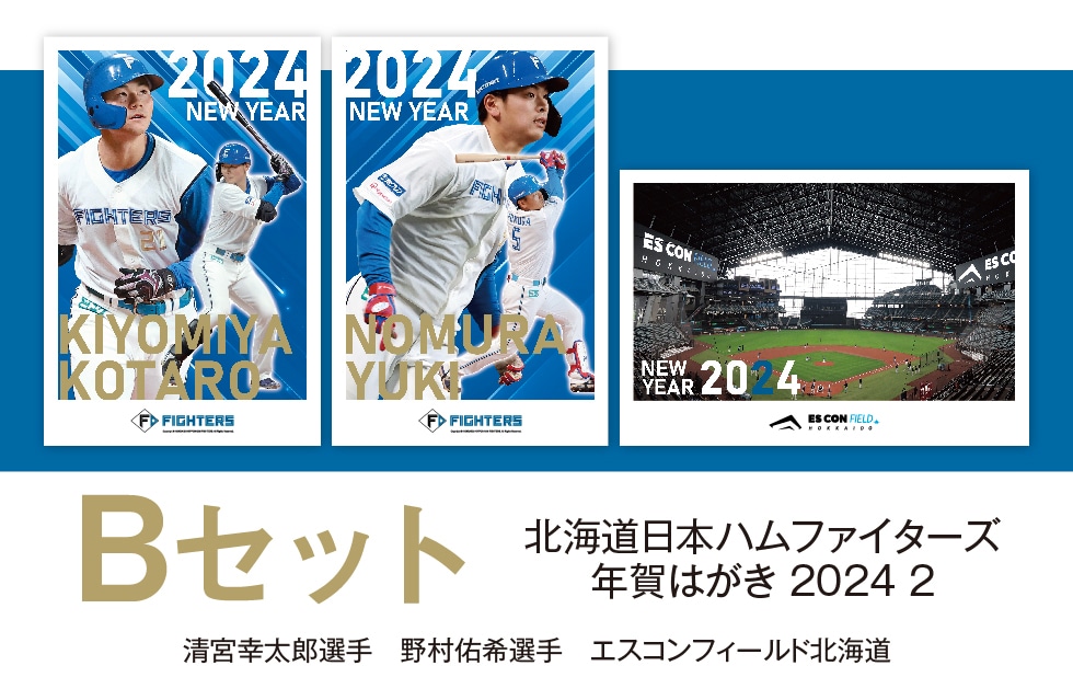 北海道日本ハムファイターズ 野村佑希選手 ポストカード-