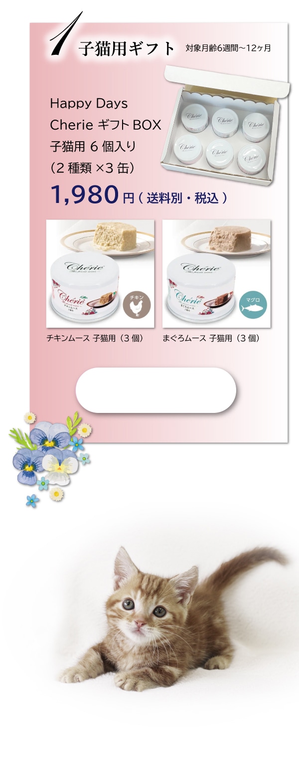 1qLpMtgΏی6Tԁ`12HappyDaysCherieMtgBOXqLp6(2ށ~3)1,980~(ʁEō)`L[XqLp(3)܂냀[XqLp(3)