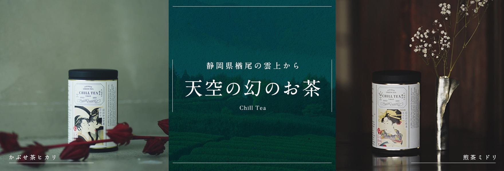 静岡県楢尾標高650mの雲上で育てたお茶 天空の幻のお茶