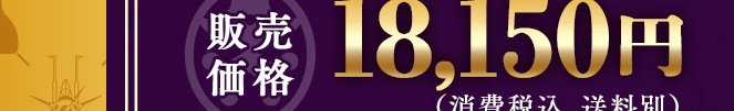 �̔����i 18,150�~(����ō��A������)