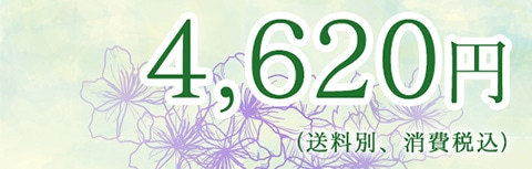 4,620~(ʁAō)