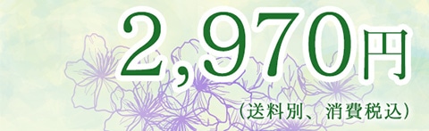 2,970~(ʁAō)