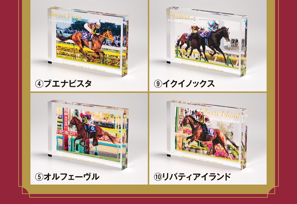 �C�u�G�i�r�X�^�D�I���t�F�[�����H�C�N�C�m�b�N�X�I���o�e�B�A�C�����h