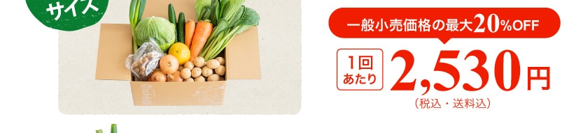 ��ʏ������i�̍ő�20%OFF 1�񂠂��� 2,530�~(�ō��E������)