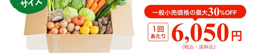 ��ʏ������i�̍ő�30%OFF 1�񂠂��� 6,050�~(�ō��E������)