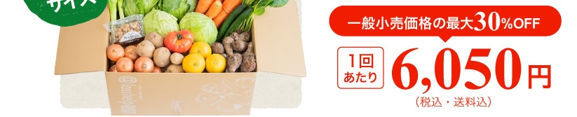 ��ʏ������i�̍ő�30%OFF 1�񂠂��� 6,050�~(�ō��E������)