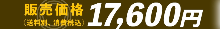 �̔����i 17,600�~(�����ʁA����ō�)