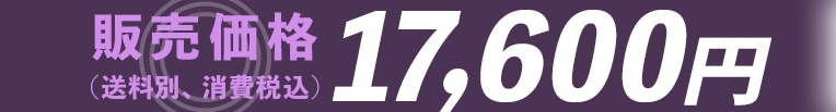 �̔����i 17,600�~(�����ʁA����ō�)