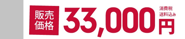 �̔����i 33,000�~ ����ŁE��������