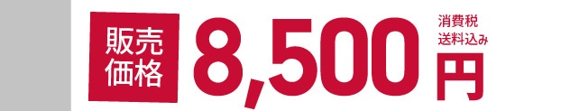 �̔����i 8,500�~ ����ŁE��������