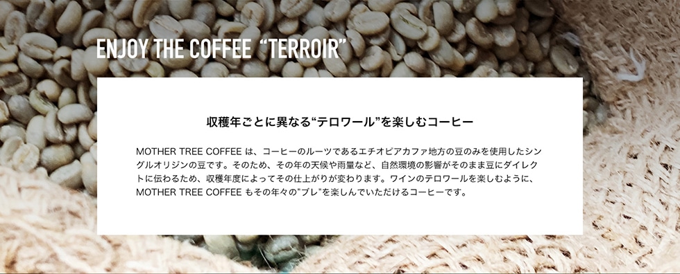 ENJOY THE COFFEE TERROIR nNƂɈقȂ ge[h yރR[q[MOTHER TREE COFFEE ́AR[q[̃[cłG`IsAJt@n݂̓̂gpVOIW̓łB̂߁A̔N̓VJʂȂǁAR̉ê܂ܓɃ_CNgɓ`邽߁AnNxɂĂ̎dオ肪ς܂BC̃e[yނ悤ɁAMOTHER TREE COFFEE̔NX́huhyłR[q[łB