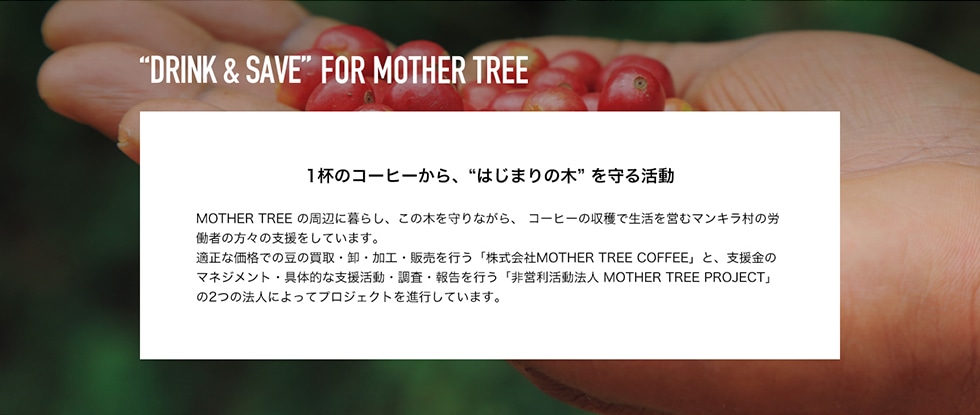 DRINK&SAVE FOR MOTHER TREE1t̃R[q[Ag͂܂̖؁h 銈MOTHER TREE̎ӂɕ炵A̖؂ȂAR[q[̎nŐcރ}L̘J҂̕X̎xĂ܂BKȉił̓̔EEHE̔suMOTHER TREE COFFEEv ƁAx }lWg̓IȎxEE񍐂suc@l MOTHER TREE PROJECTv2̖@lɂăvWFNgisĂ܂B