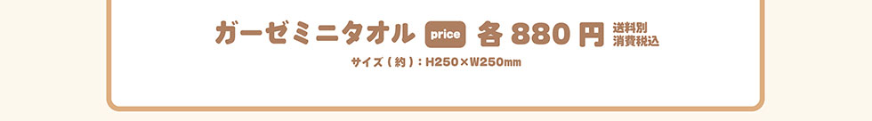 K[[~j^I price e880~ ʏō TCY():H250~W250mm