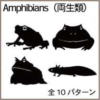 Amphibians（両生類）