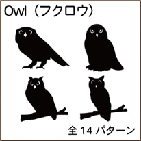 Owl（フクロウ）