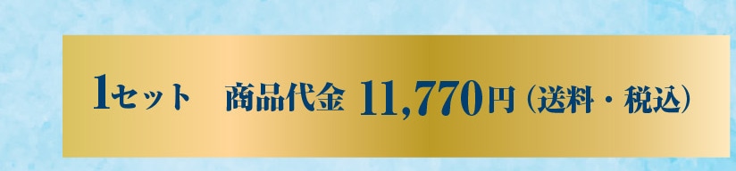 1�Z�b�g ���i��� 11,770�~�i�����E�ō��j