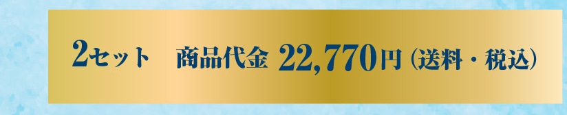 2�Z�b�g ���i��� 22,770�~�i�����E�ō��j