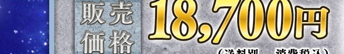 �̔����i 18,700�~�i�����ʁA����ō��j