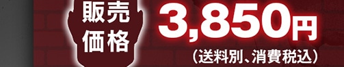 ̔i 3,850~(ʁAō)