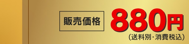 �̔����i 880�~(�����ʁE����ō�)