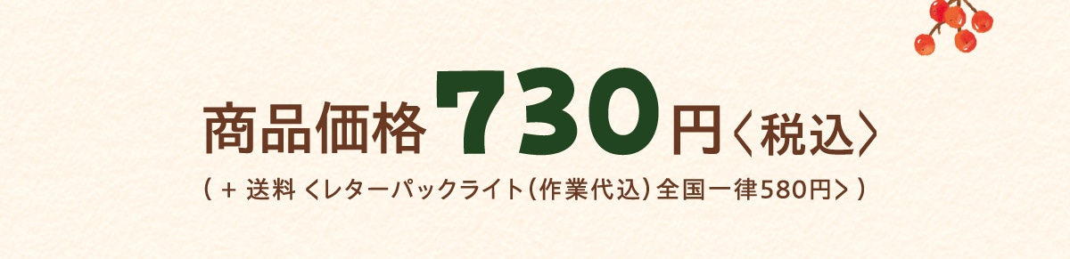 ii 730~<ō>( +  ^[pbNCg (Ƒ㍞) Sꗥ580~> )