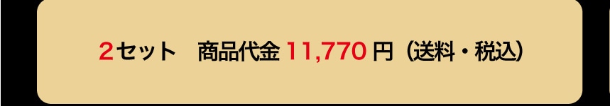 2�Z�b�g ���i��� 11,770�~ (�����E�ō�)