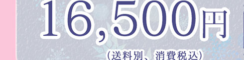 ̔i16,500~(ʁAō)
